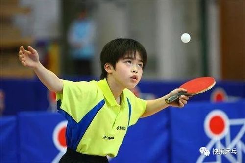 HowtoSay"PlayTableTennis"inEnglish