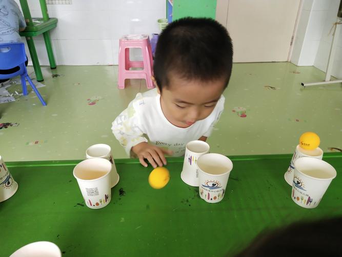 小班纸杯乒乓球