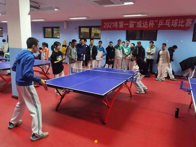 安师大乒乓球队的历史与成就