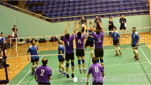 乒乓球开球可以扣杀吗