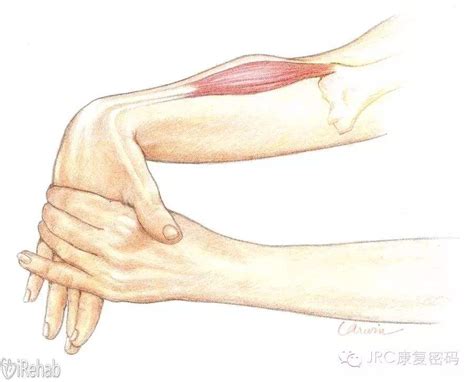 高尔夫球肘位置
