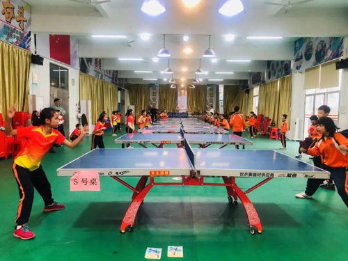 小学乒乓球文化介绍