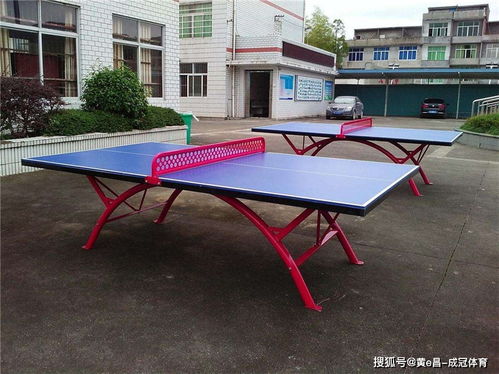 澳门乒乓球在哪里看直播