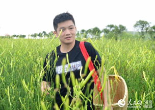 公园乒乓球场地标准尺寸大小