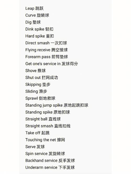 乒乓球的英文英文
