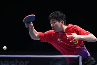 马龙乒乓球个人资料简历