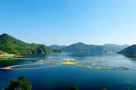 高尔夫球漂浮在水面上