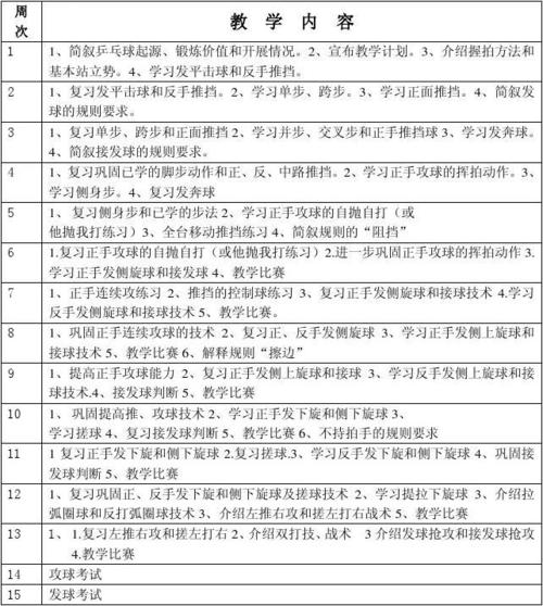 乒乓球课教案(全套)