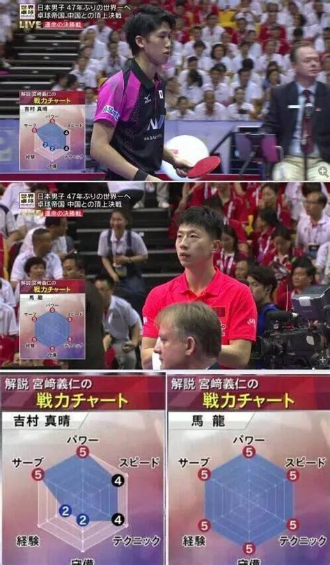 乒乓球张安简历