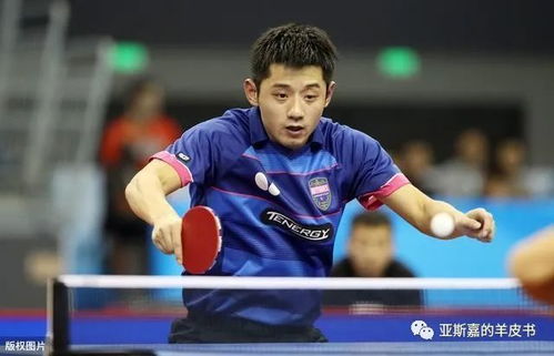 乒乓球老将山东李莉简介