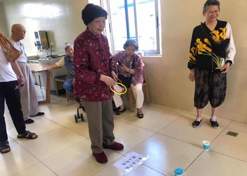 乒乓球陈小兵个人简历
