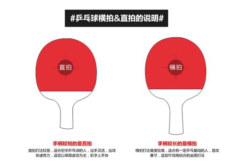 乒乓球什么牌子的好