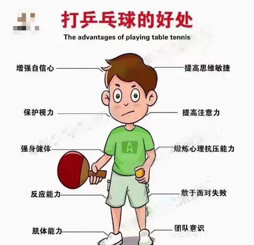 打乒乓球的常识
