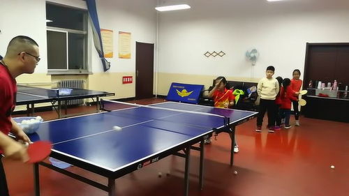 乒乓球培训教练需要教练证吗