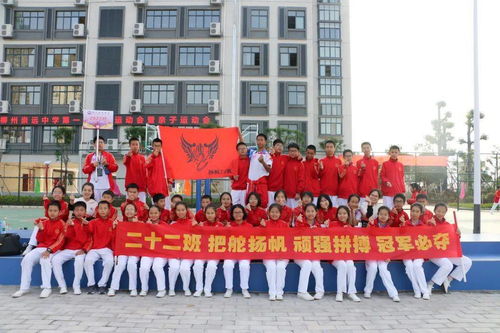 柳州市乒乓球训练基地