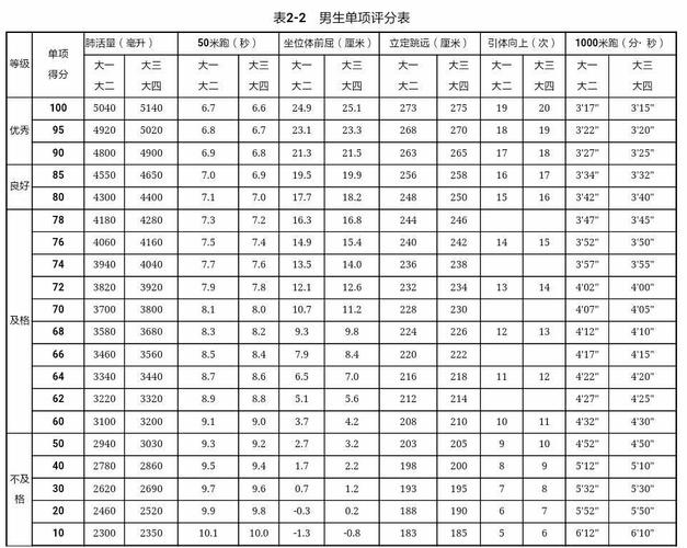 健美运动员格斗