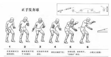 一学就会的100个乒乓球实战技巧