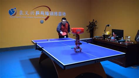 猫咪喜欢球球
