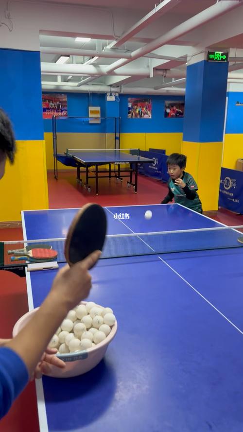 东莞乒乓球体校