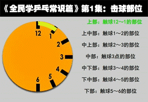 打乒乓球十种方法图解大全