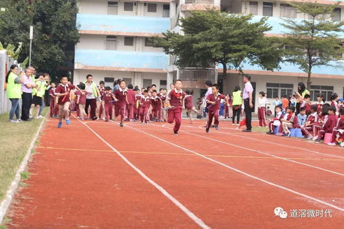 新城小学开展乒乓球比赛