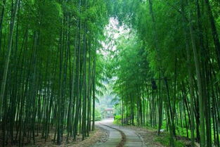 杭州富春山居高尔夫球场