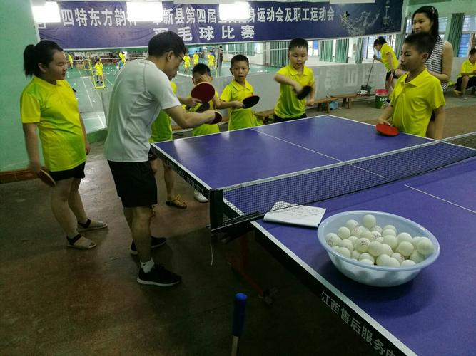 乒乓球旋球教学视频视频大全