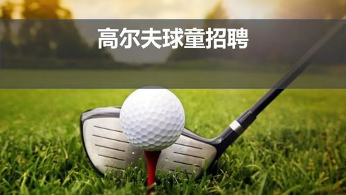 高尔夫球凹凸不平