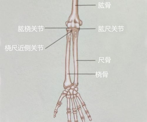 高尔夫球肘会自愈吗