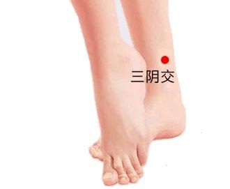 打乒乓球的视频