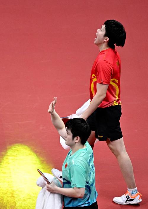 中国男子乒乓球运动员排名