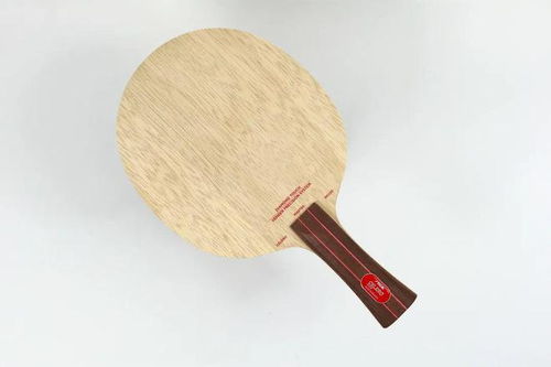 乒乓球遮挡衣服叫什么