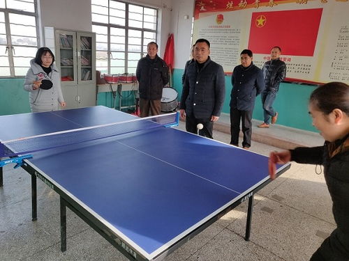 乒乓球球风有哪些
