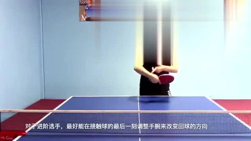 搓球乒乓球教学
