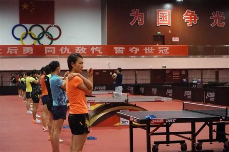 乒乓球名字后面的数字什么意思