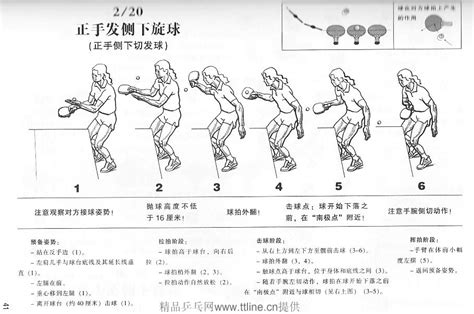 乒乓球回旋球教程