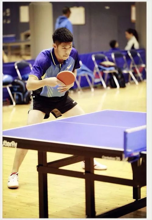 松江乒乓球俱乐部
