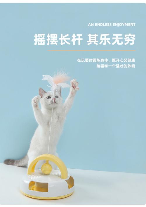 猫玩乒乓球作文