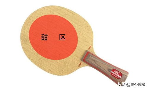乒乓球拍分几种类型