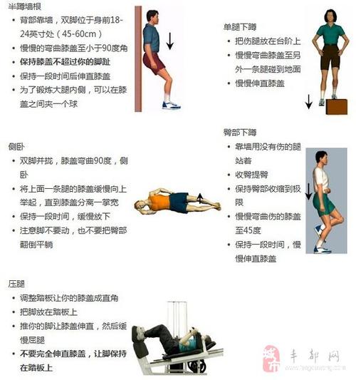 鸽子怎么能赢