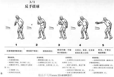 乒乓球弧圈球用什么胶皮