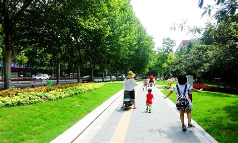 碧沙岗公园有水吗