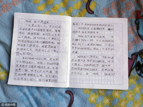 把乒乓球的作文写下来400字