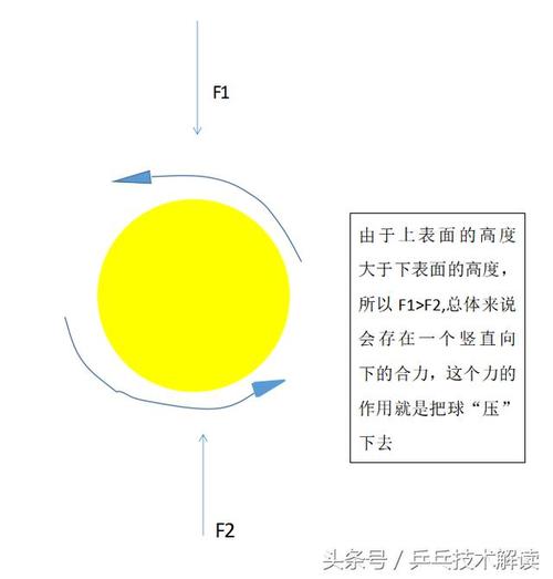 回璇球乒乓球