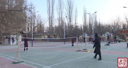 东丽区公园乒乓球馆地址