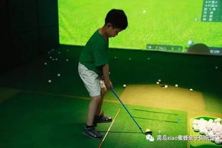 高尔夫原装轮胎什么牌子