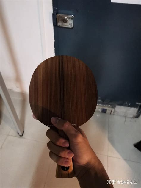 乒乓球板十大品牌