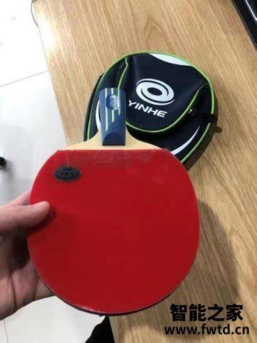 什么牌子的乒乓球最贵