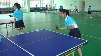 黄岛乒乓球一对一收费标准