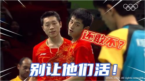 乒乓球龙獒蟒
